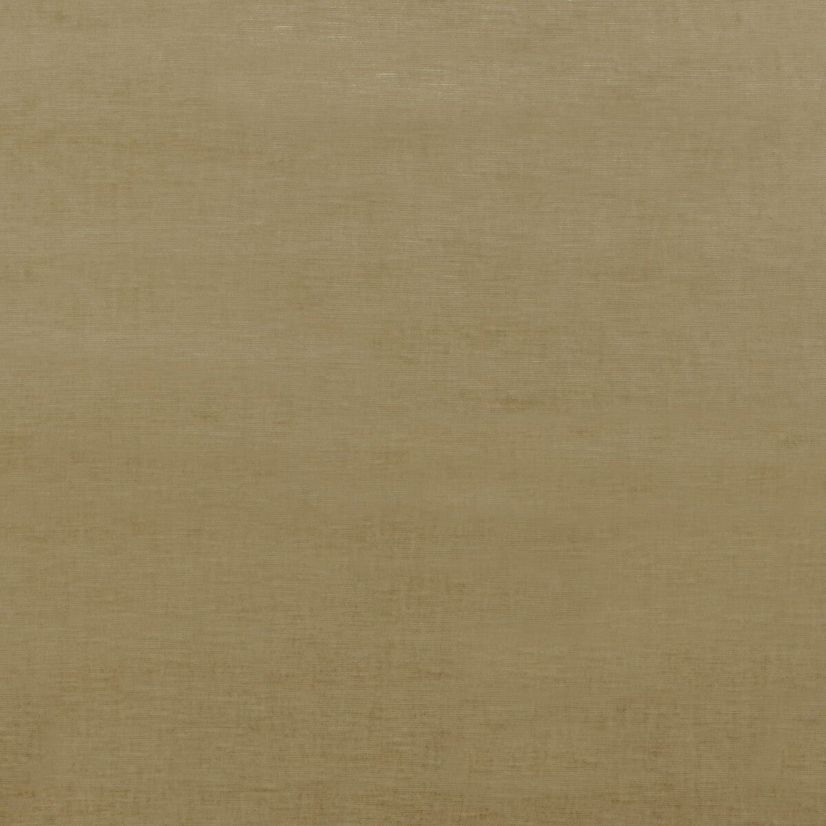 Essential Velvet fabric in camel color - pattern BF10692.170.0 - by G P & J Baker in the Essential Colours collection