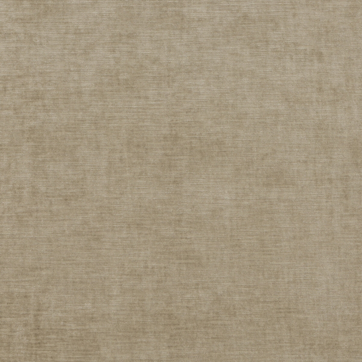 Essential Velvet fabric in oatmeal color - pattern BF10692.230.0 - by G P & J Baker in the Essential Colours collection