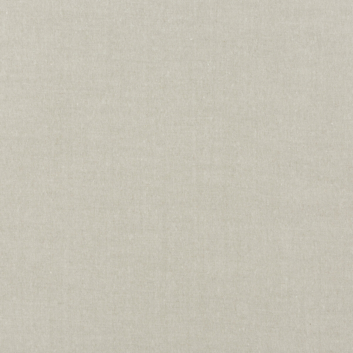 Essential Linen fabric in marble color - pattern BF10693.106.0 - by G P & J Baker in the Essential Colours collection