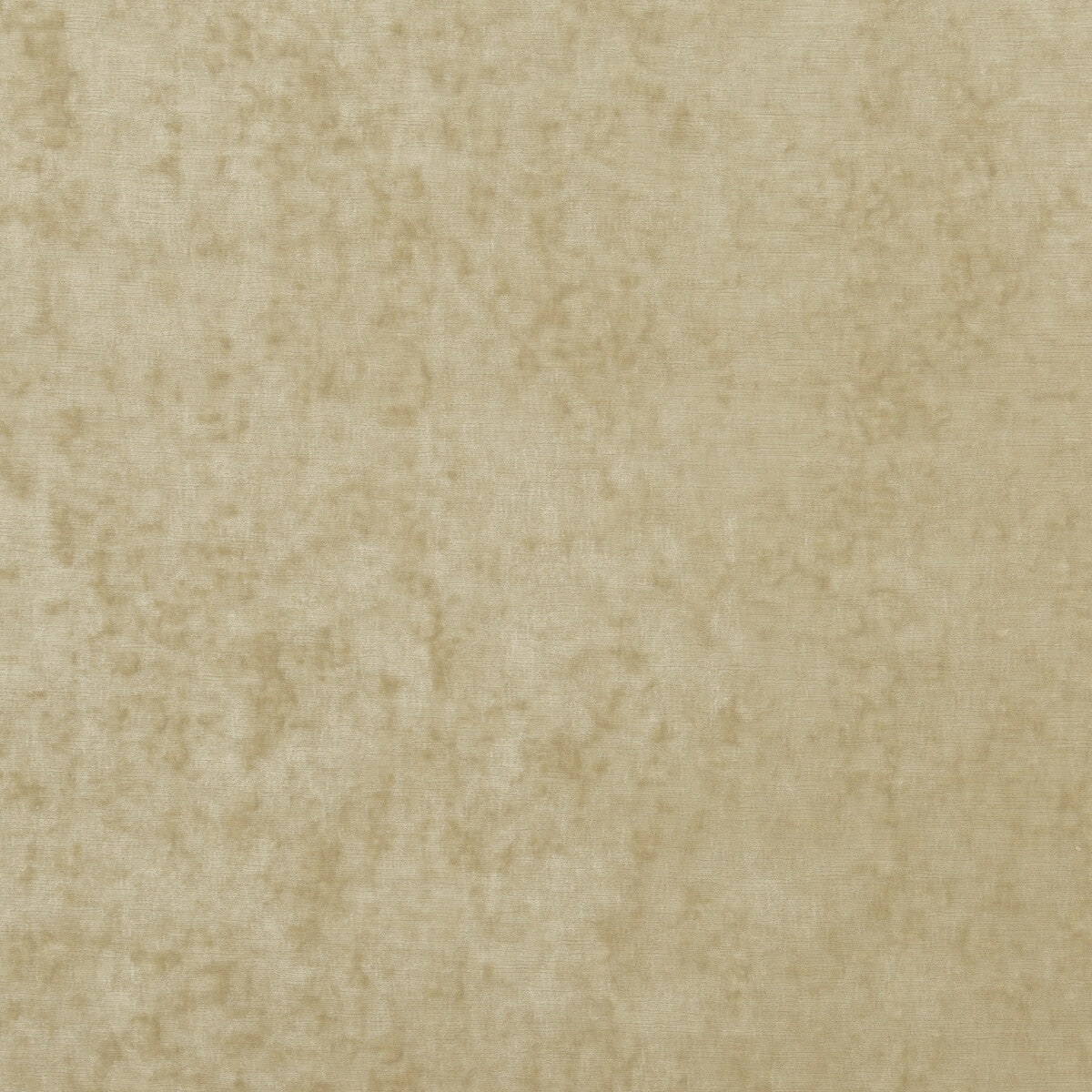 Vintage Velvet fabric in oyster color - pattern BF10700.106.0 - by G P & J Baker in the Vintage Velvets collection