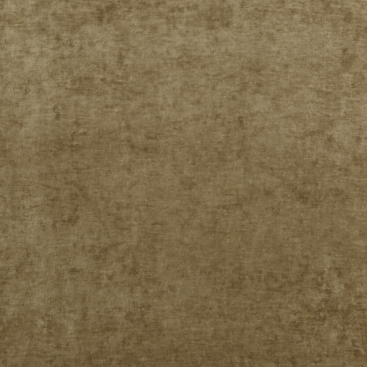 Vintage Velvet fabric in camel color - pattern BF10700.170.0 - by G P & J Baker in the Vintage Velvets collection