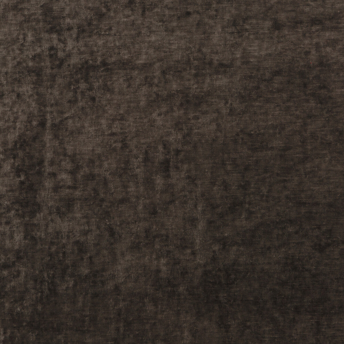 Vintage Velvet fabric in mole color - pattern BF10700.240.0 - by G P & J Baker in the Vintage Velvets collection