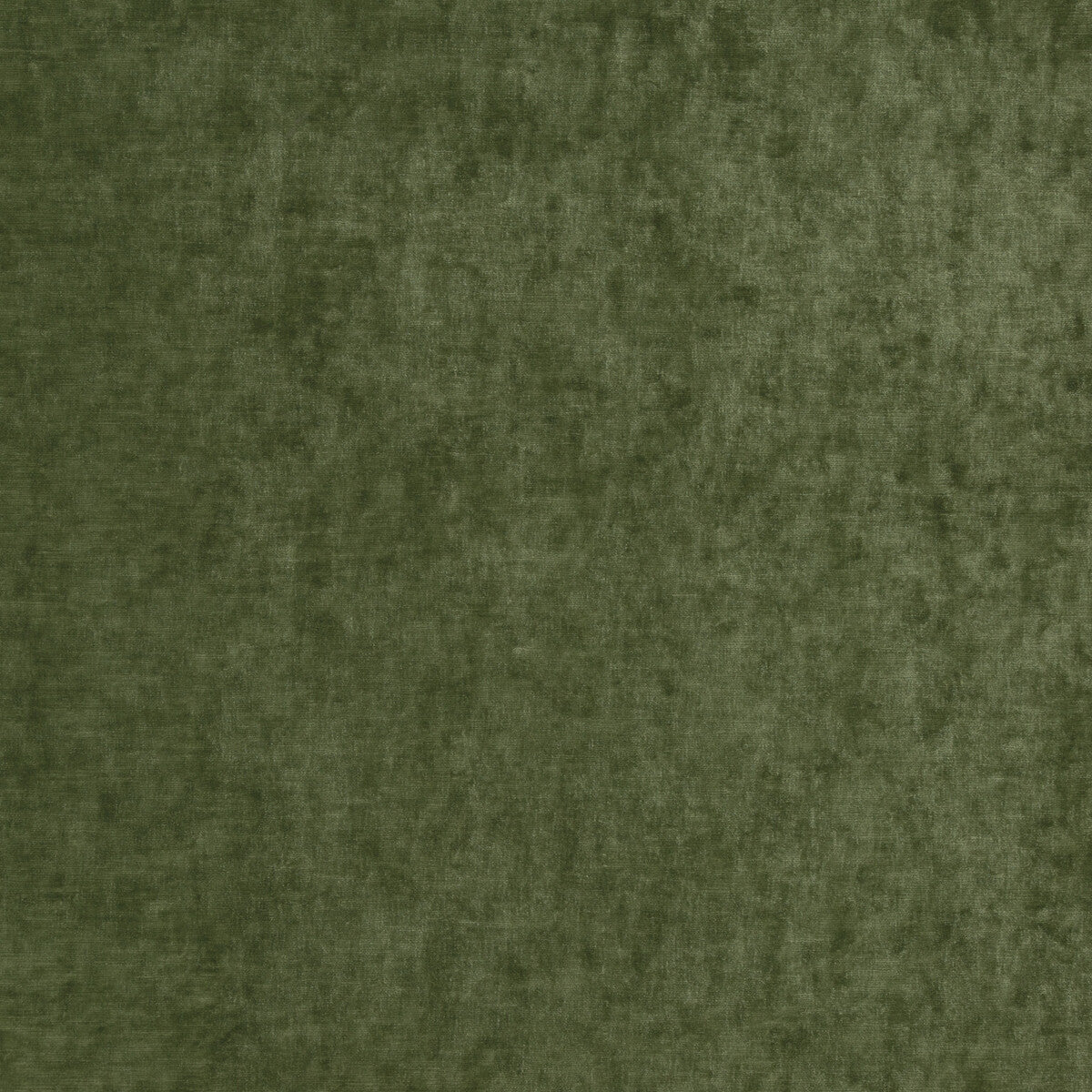Vintage Velvet fabric in fern color - pattern BF10700.775.0 - by G P & J Baker in the Vintage Velvets collection