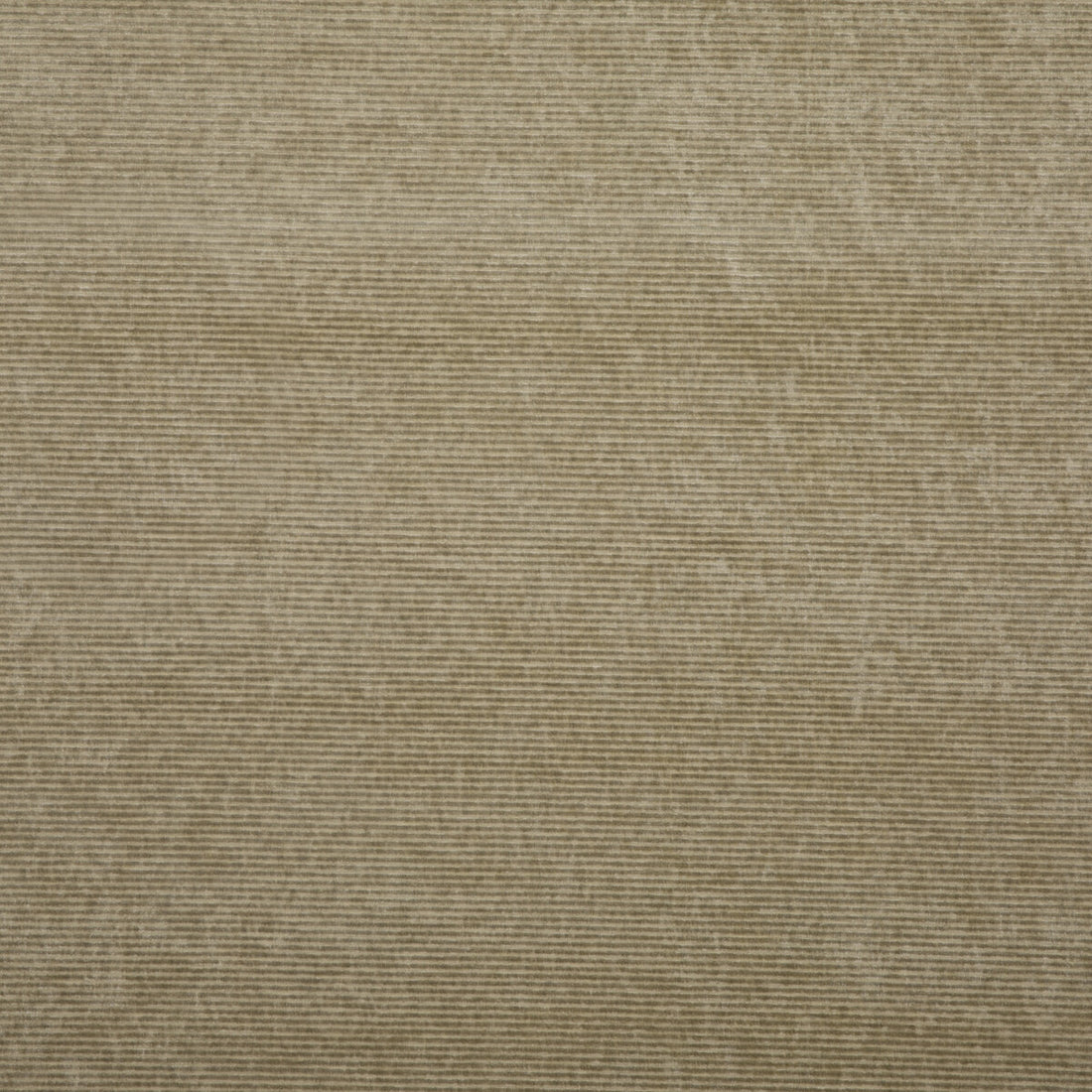 Kendal Velvet fabric in sand color - pattern BF10761.130.0 - by G P &amp; J Baker in the Keswick Velvets collection