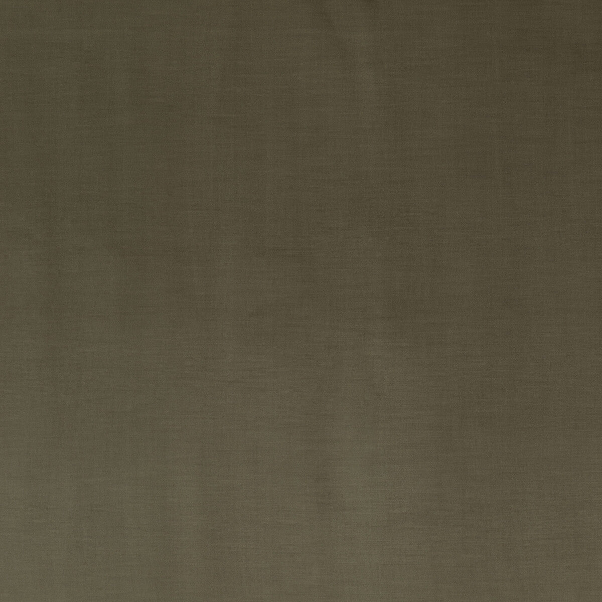 Coniston Velvet fabric in fawn color - pattern BF10781.220.0 - by G P & J Baker in the Coniston Velvet collection