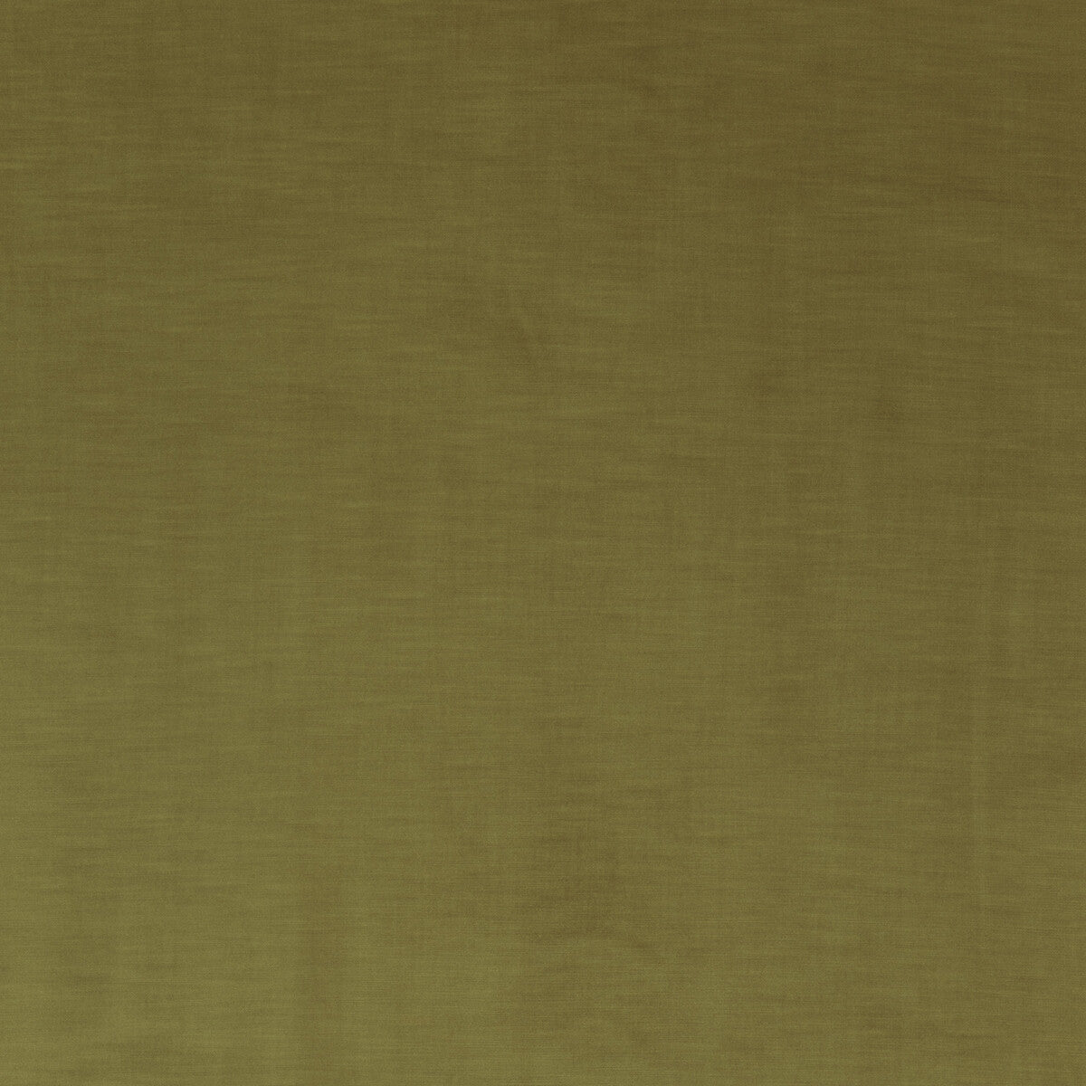 Coniston Velvet fabric in ochre color - pattern BF10781.840.0 - by G P &amp; J Baker in the Coniston Velvet collection