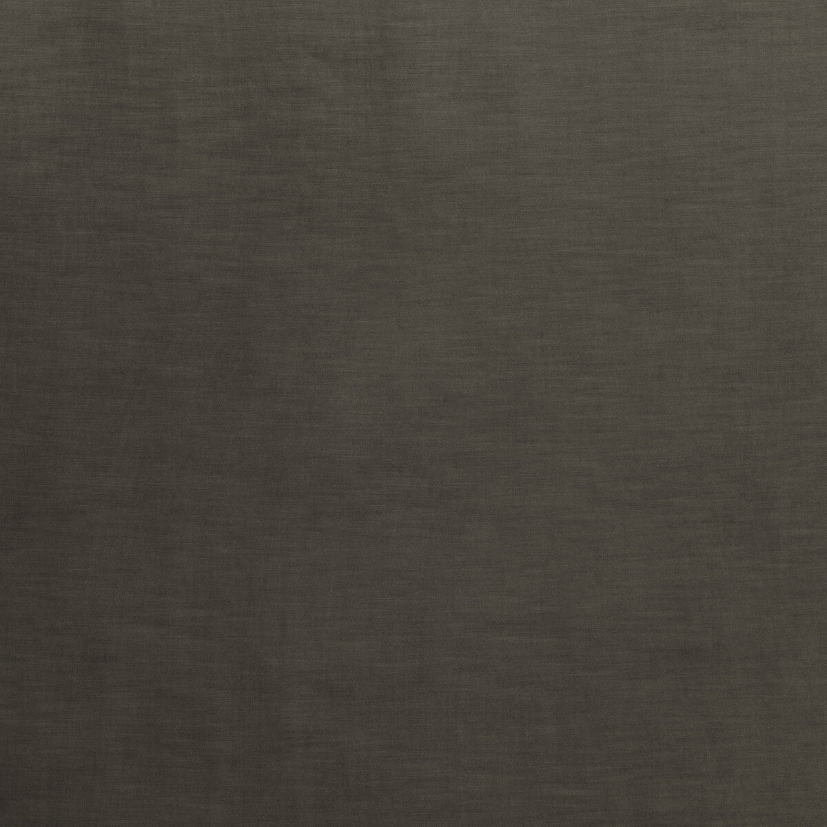Coniston Velvet fabric in woodsmoke color - pattern BF10781.935.0 - by G P & J Baker in the Coniston Velvet collection