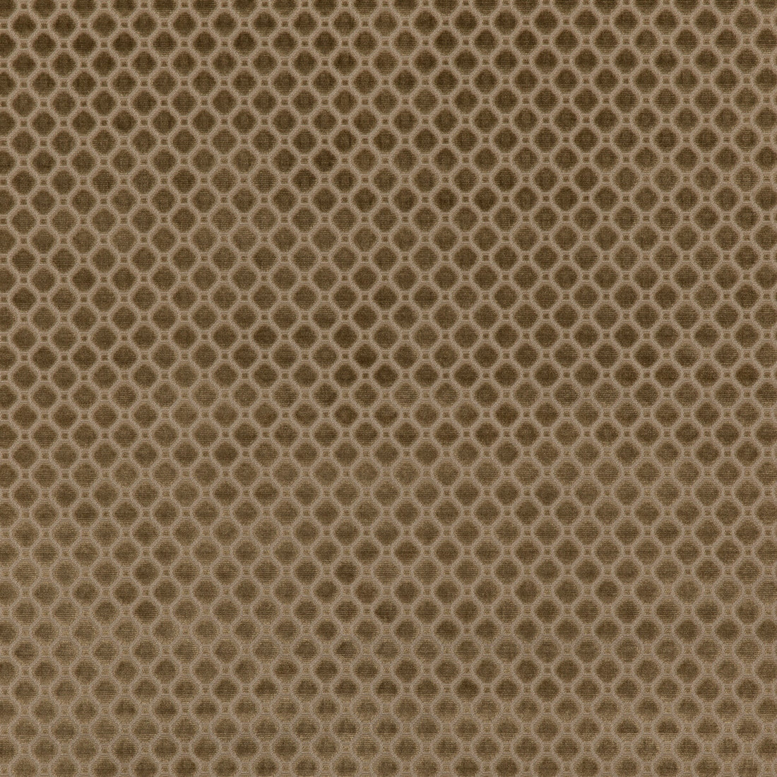 Indus Velvet fabric in mink color - pattern BF10826.285.0 - by G P &amp; J Baker in the Coromandel Velvets collection