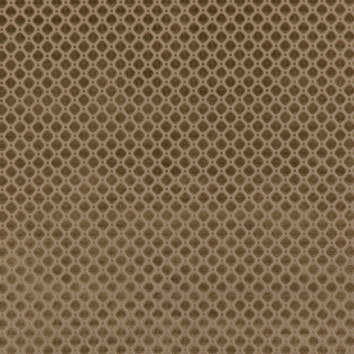 Indus Velvet fabric in mink color - pattern BF10826.285.0 - by G P & J Baker in the Coromandel Velvets collection