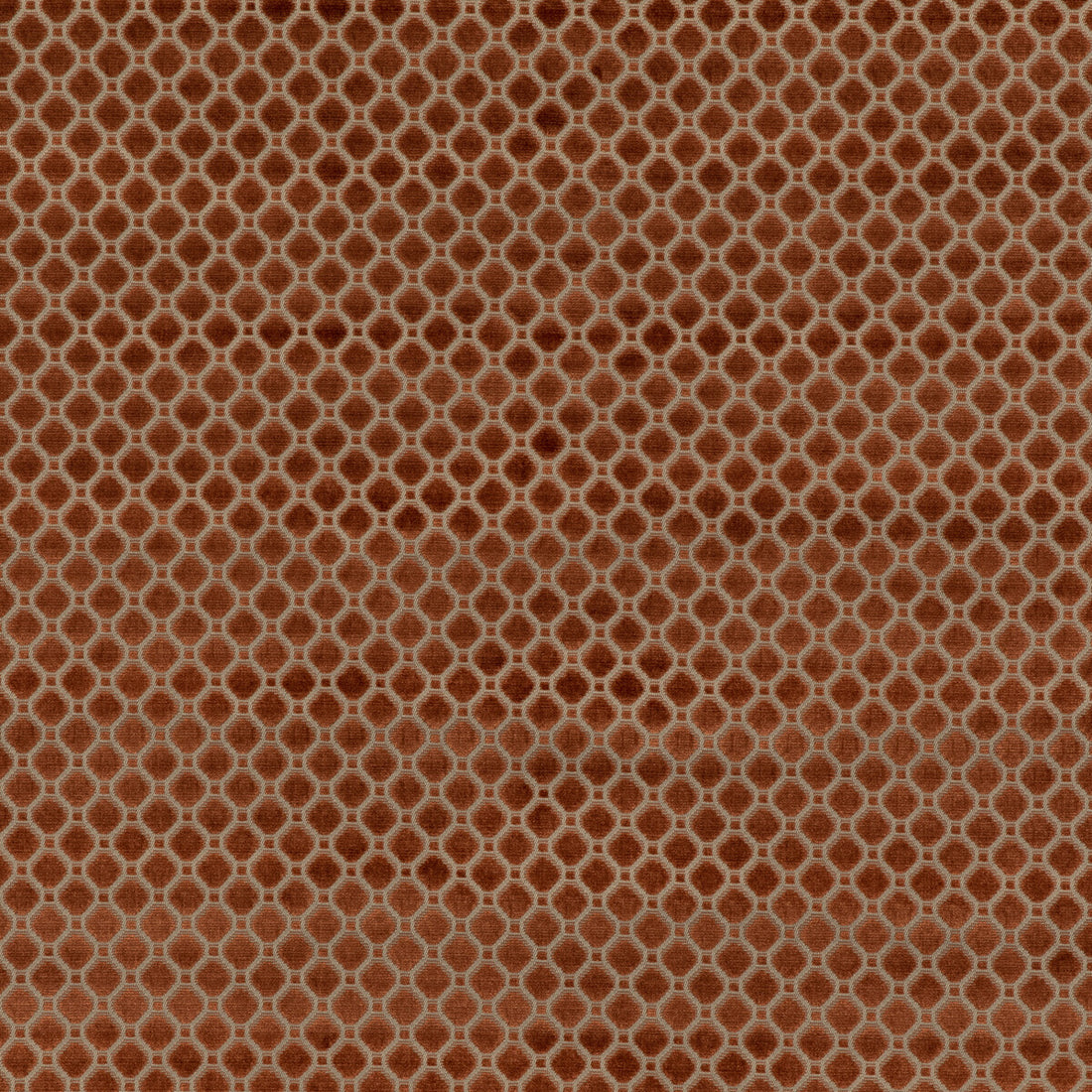 Indus Velvet fabric in sienna color - pattern BF10826.338.0 - by G P &amp; J Baker in the Coromandel Velvets collection