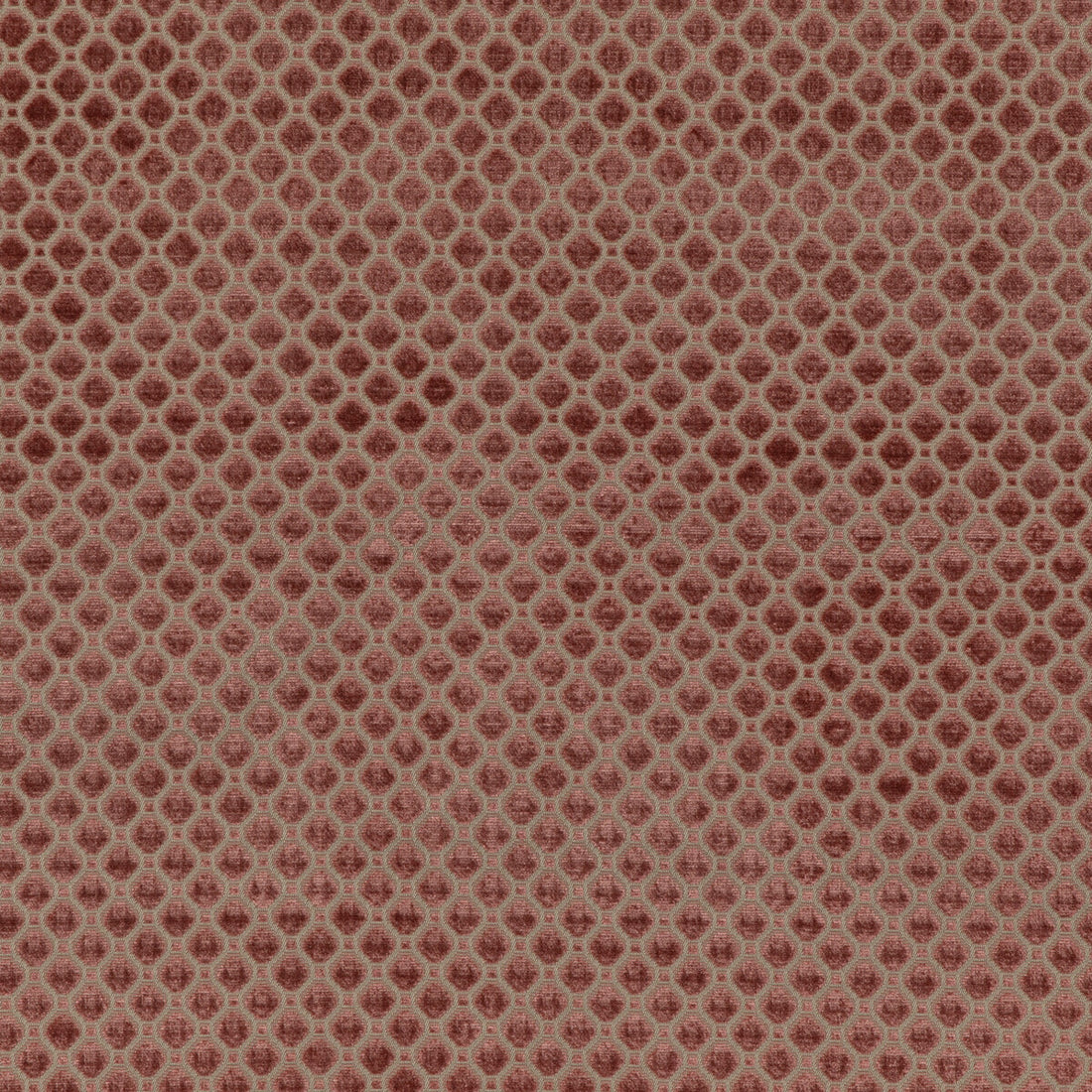 Indus Velvet fabric in blush color - pattern BF10826.440.0 - by G P &amp; J Baker in the Coromandel Velvets collection