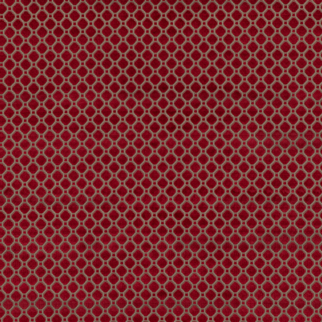 Indus Velvet fabric in red color - pattern BF10826.450.0 - by G P &amp; J Baker in the Coromandel Velvets collection