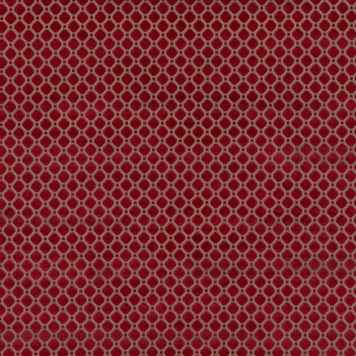 Indus Velvet fabric in red color - pattern BF10826.450.0 - by G P & J Baker in the Coromandel Velvets collection