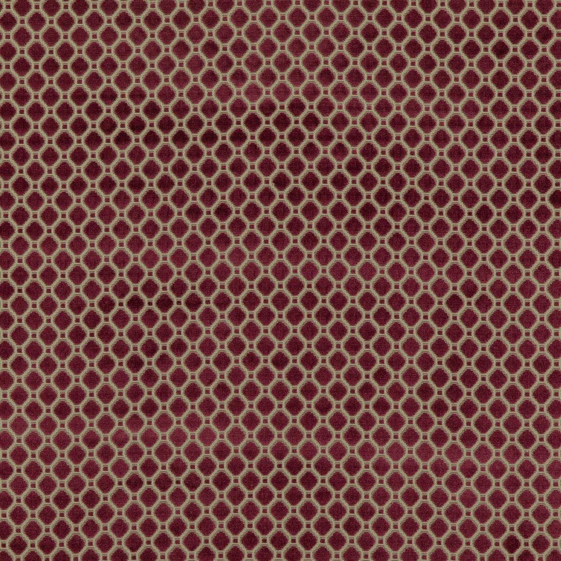 Indus Velvet fabric in berry color - pattern BF10826.474.0 - by G P &amp; J Baker in the Coromandel Velvets collection