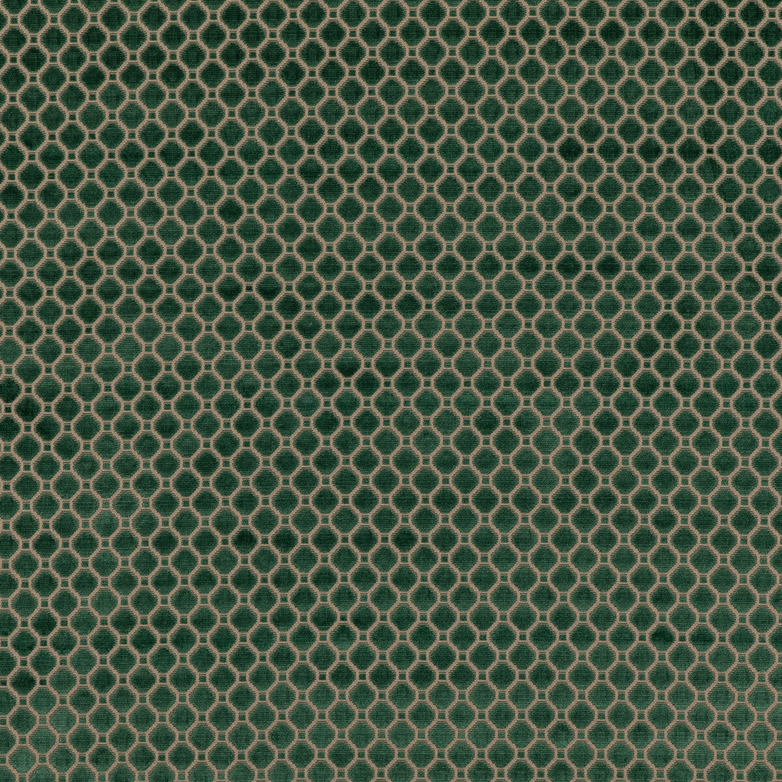 Indus Velvet fabric in emerald color - pattern BF10826.785.0 - by G P &amp; J Baker in the Coromandel Velvets collection
