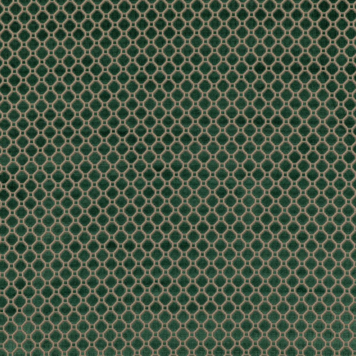 Indus Velvet fabric in emerald color - pattern BF10826.785.0 - by G P & J Baker in the Coromandel Velvets collection