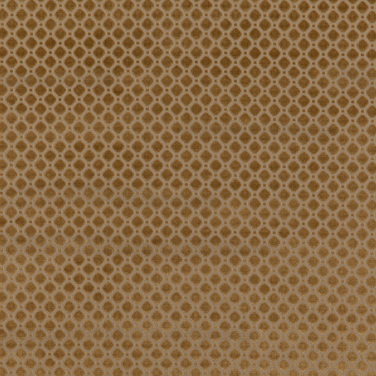 Indus Velvet fabric in bronze color - pattern BF10826.850.0 - by G P & J Baker in the Coromandel Velvets collection