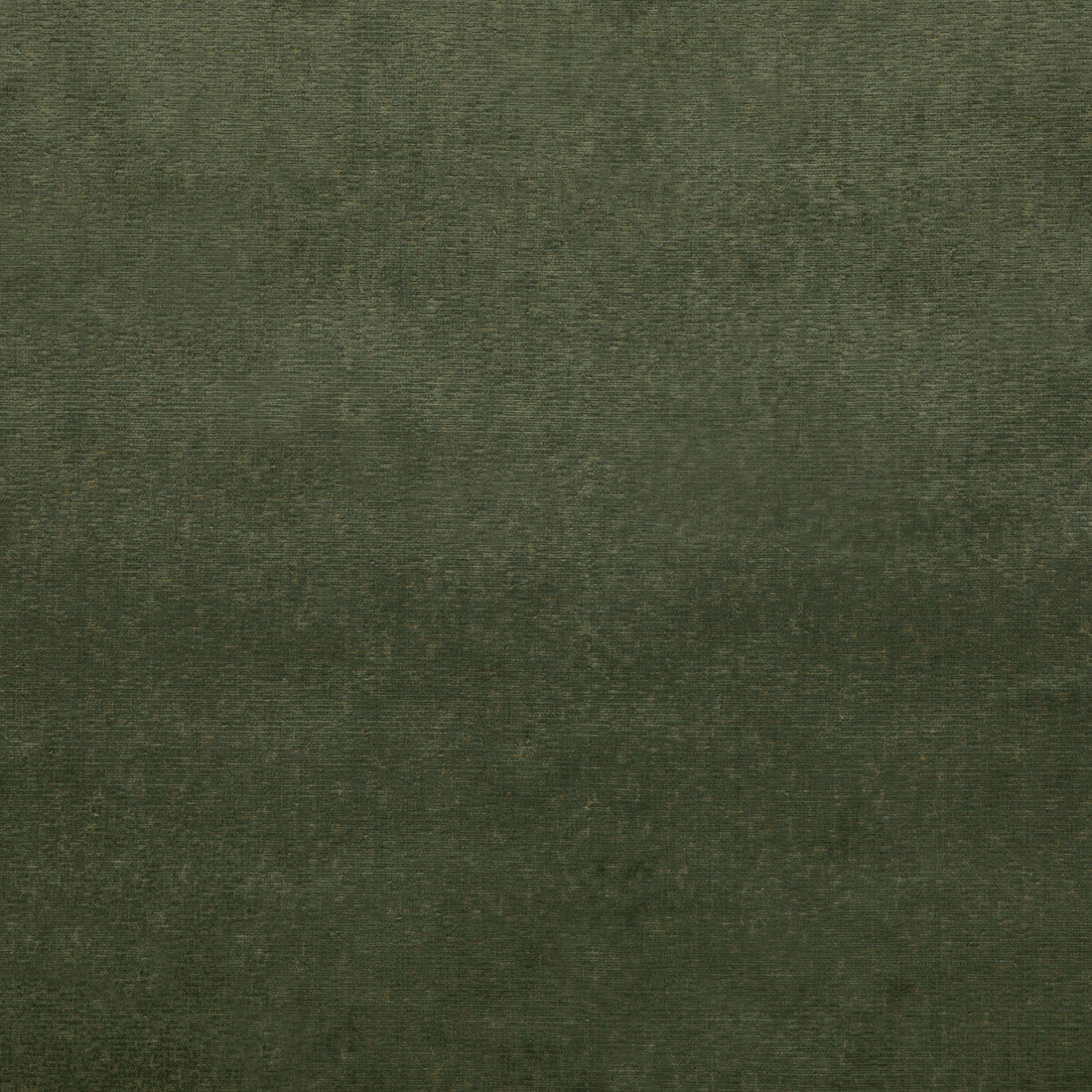 Alma Velvet fabric in forest color - pattern BF10827.794.0 - by G P &amp; J Baker in the Coromandel Velvets collection