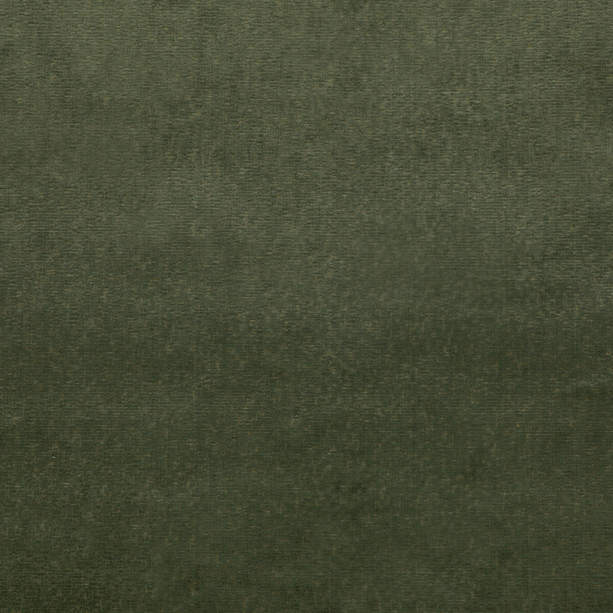 Alma Velvet fabric in forest color - pattern BF10827.794.0 - by G P & J Baker in the Coromandel Velvets collection