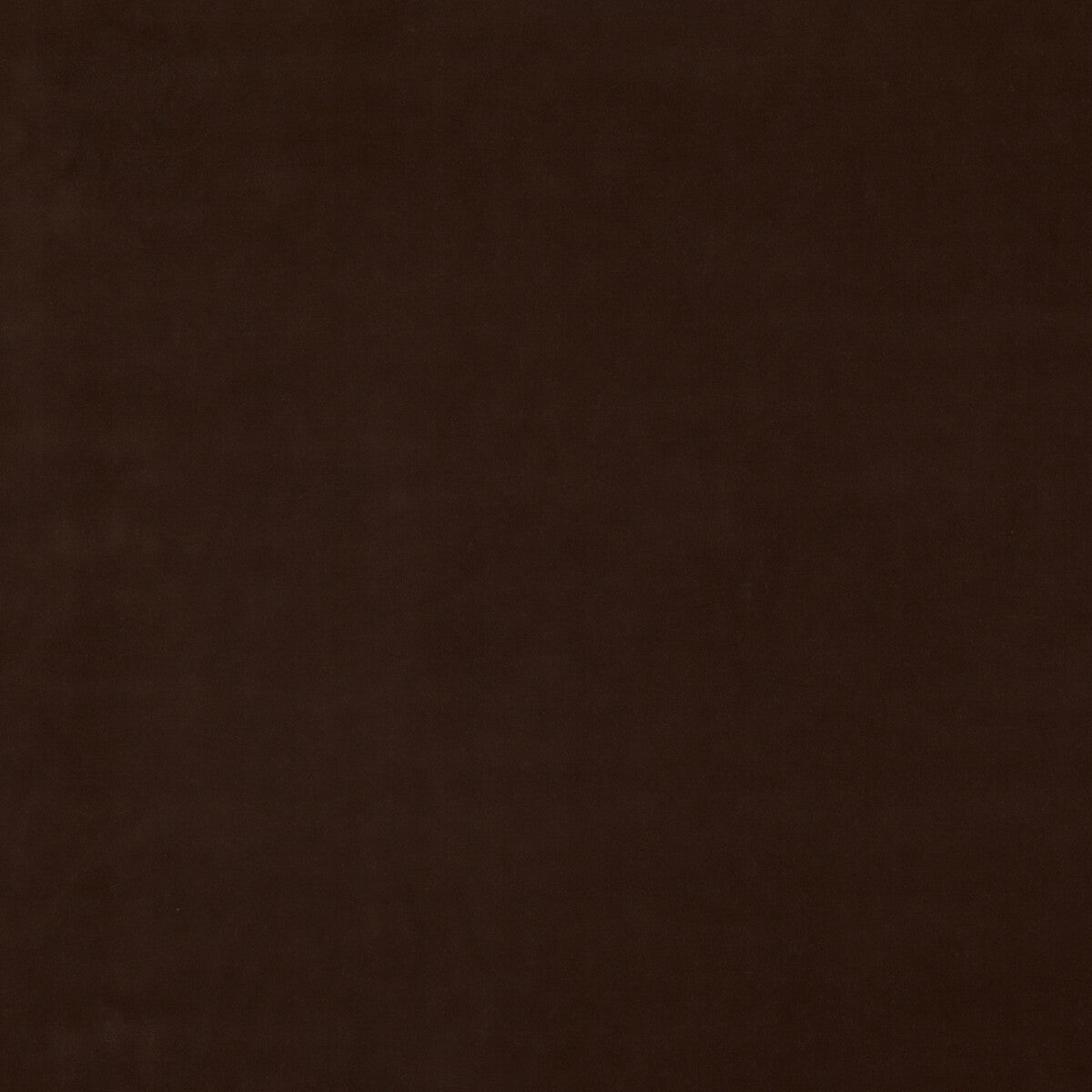 Baker House Velvet fabric in espresso color - pattern BF10838.261.0 - by G P & J Baker in the Baker House Velvet collection