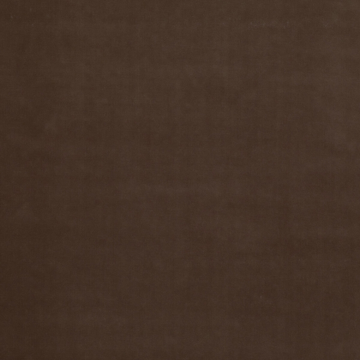 Baker House Velvet fabric in mink color - pattern BF10838.285.0 - by G P & J Baker in the Baker House Velvet collection