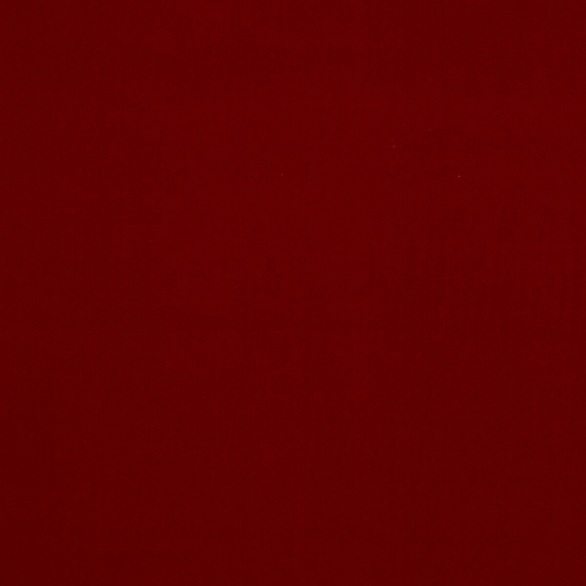 Baker House Velvet fabric in red color - pattern BF10838.450.0 - by G P & J Baker in the Baker House Velvet collection