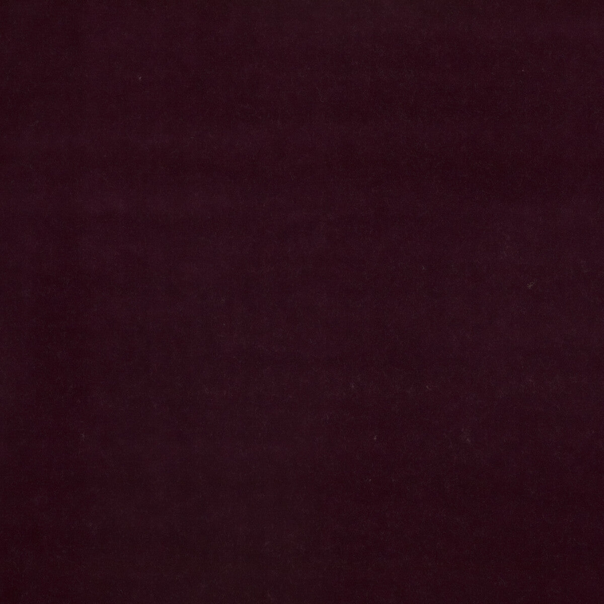 Baker House Velvet fabric in aubergine color - pattern BF10838.590.0 - by G P & J Baker in the Baker House Velvet collection