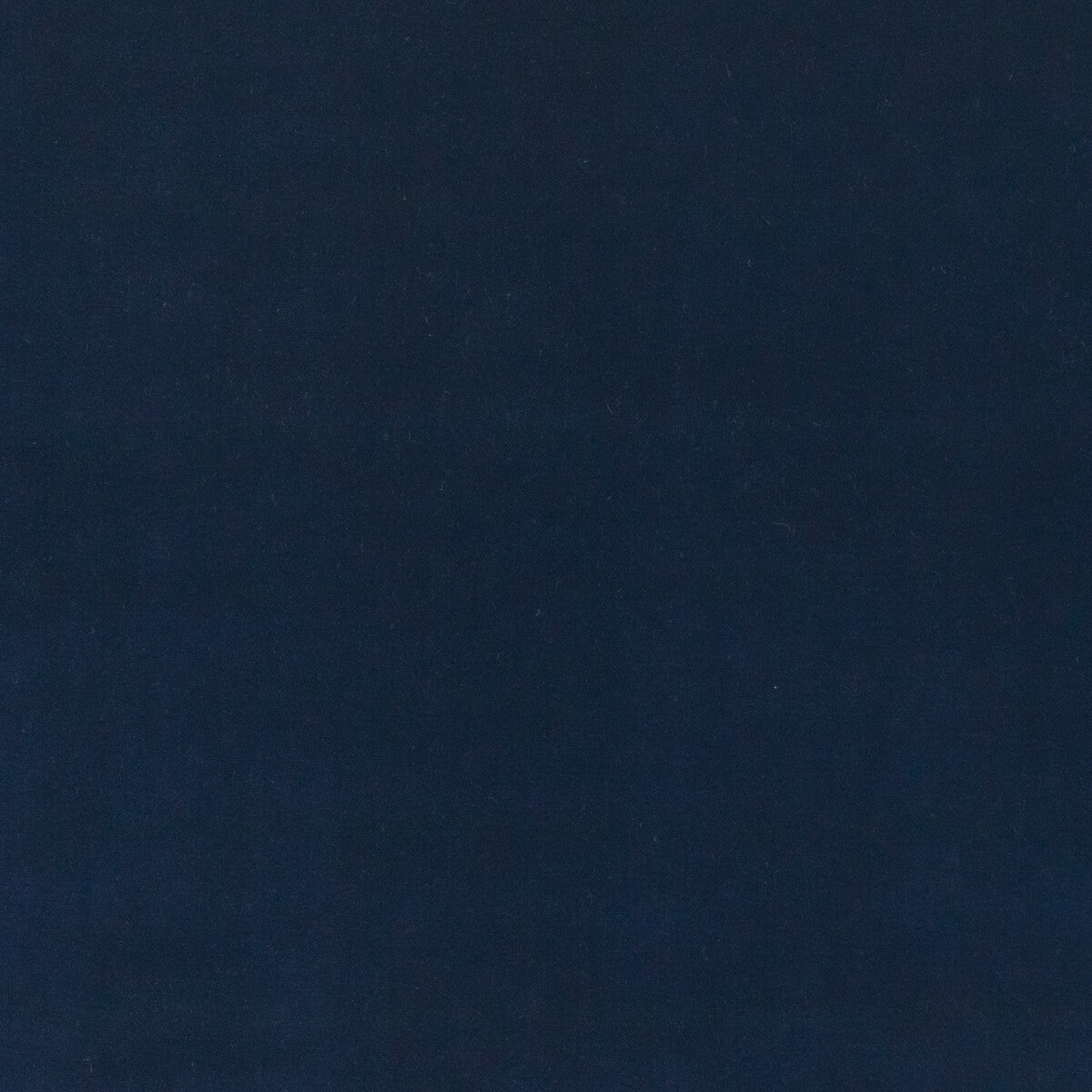 Baker House Velvet fabric in indigo color - pattern BF10838.680.0 - by G P & J Baker in the Baker House Velvet collection