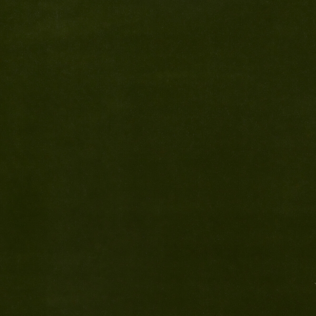 Baker House Velvet fabric in olive color - pattern BF10838.730.0 - by G P & J Baker in the Baker House Velvet collection