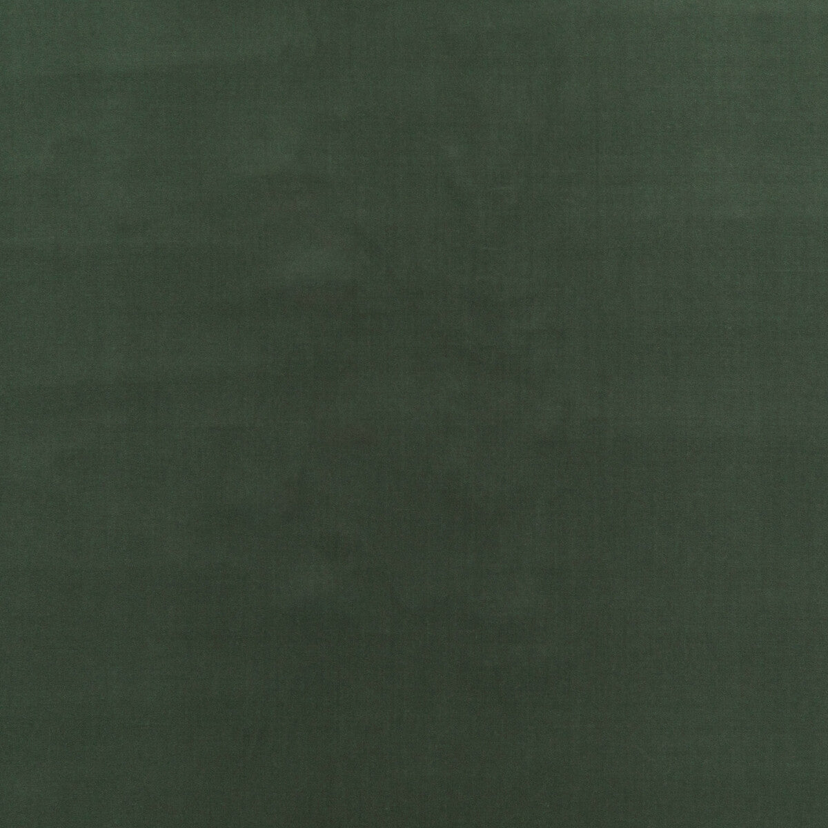 Baker House Velvet fabric in eucalyptus color - pattern BF10838.773.0 - by G P & J Baker in the Baker House Velvet collection