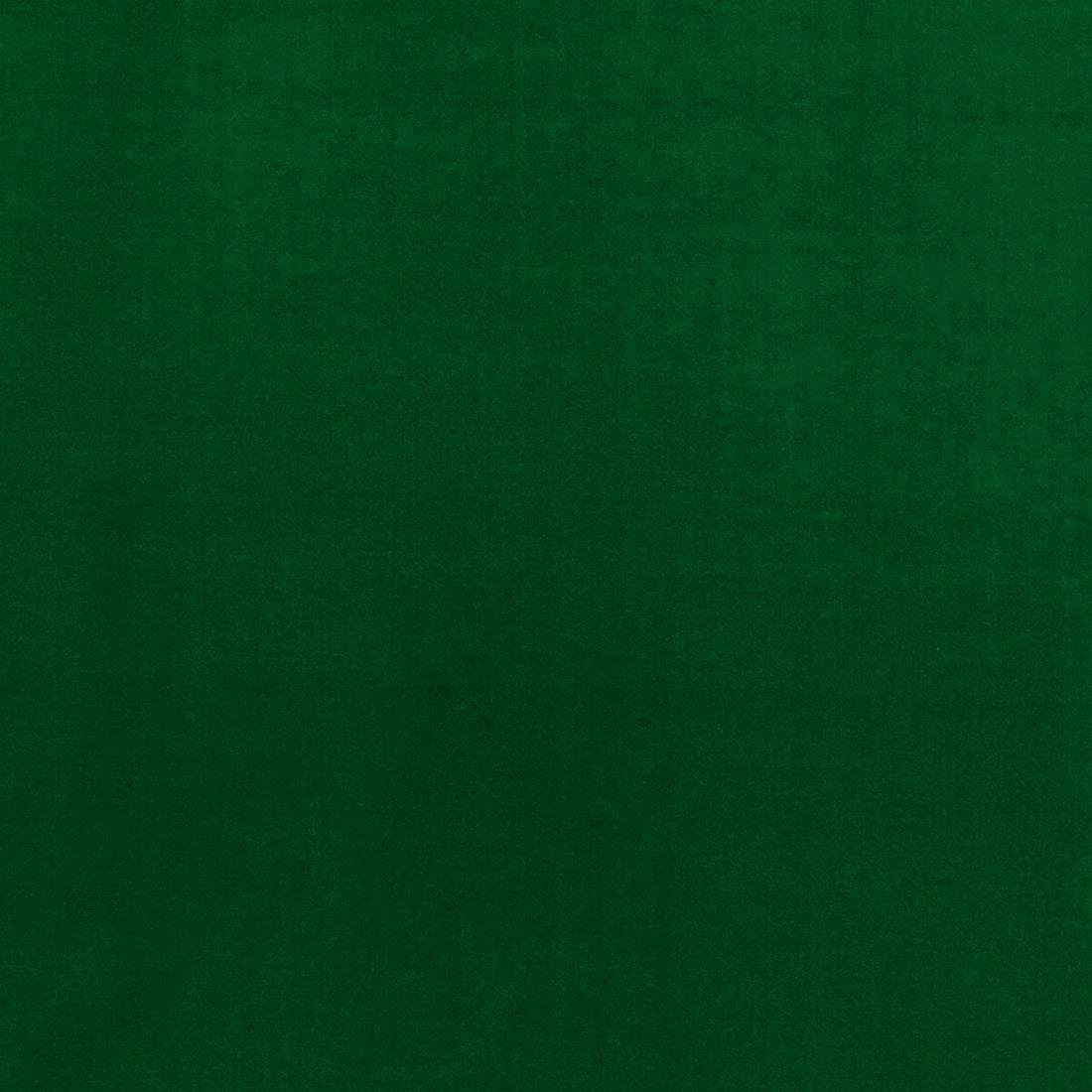 Baker House Velvet fabric in emerald color - pattern BF10838.785.0 - by G P &amp; J Baker in the Baker House Velvet collection