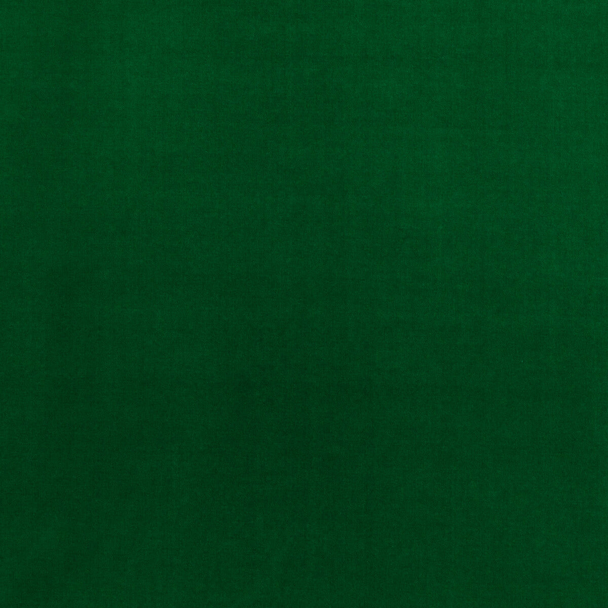 Baker House Velvet fabric in emerald color - pattern BF10838.785.0 - by G P & J Baker in the Baker House Velvet collection