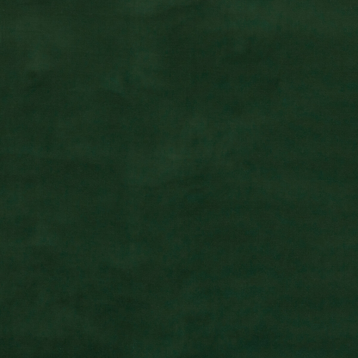 Baker House Velvet fabric in forest color - pattern BF10838.794.0 - by G P & J Baker in the Baker House Velvet collection