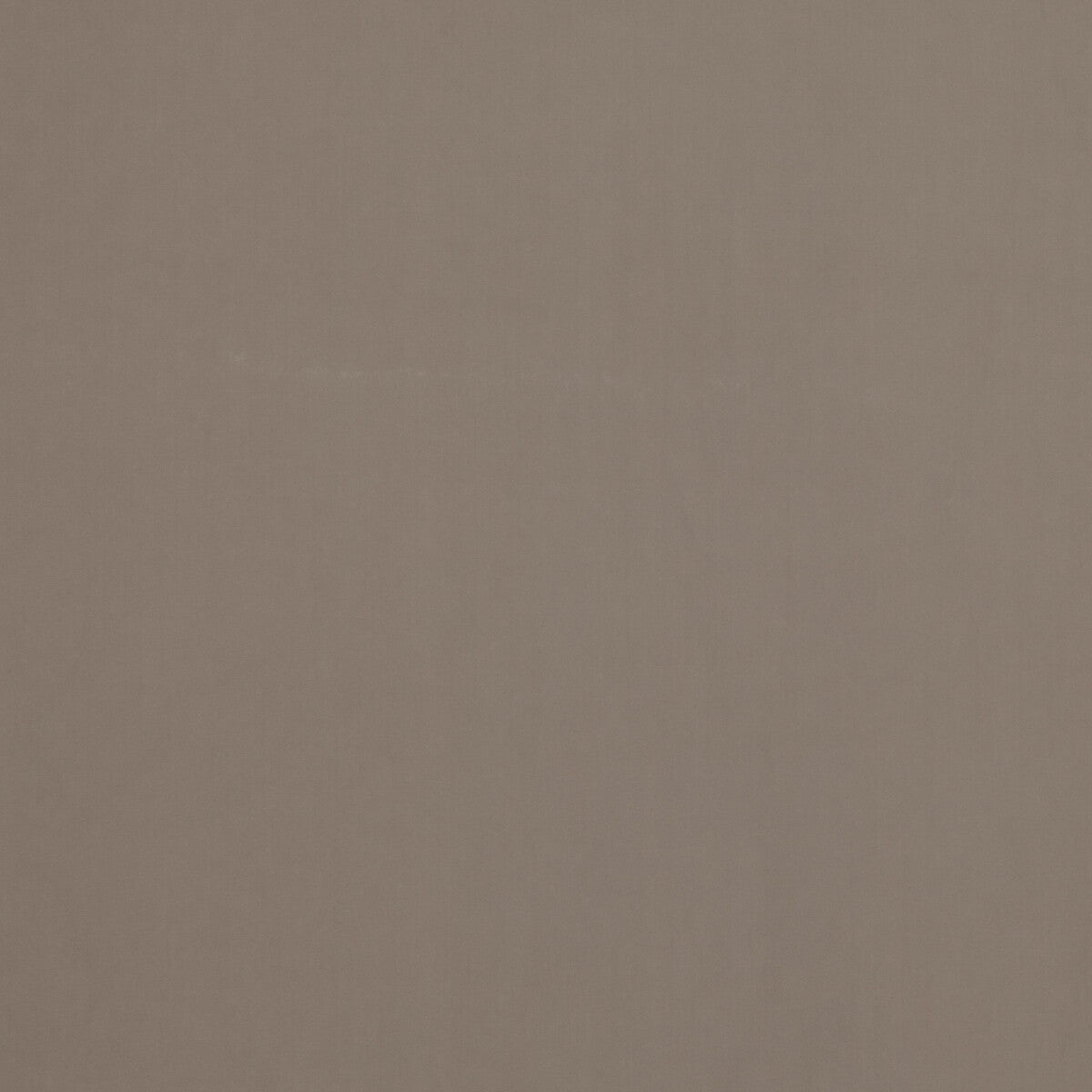 Baker House Velvet fabric in dove color - pattern BF10838.910.0 - by G P & J Baker in the Baker House Velvet collection