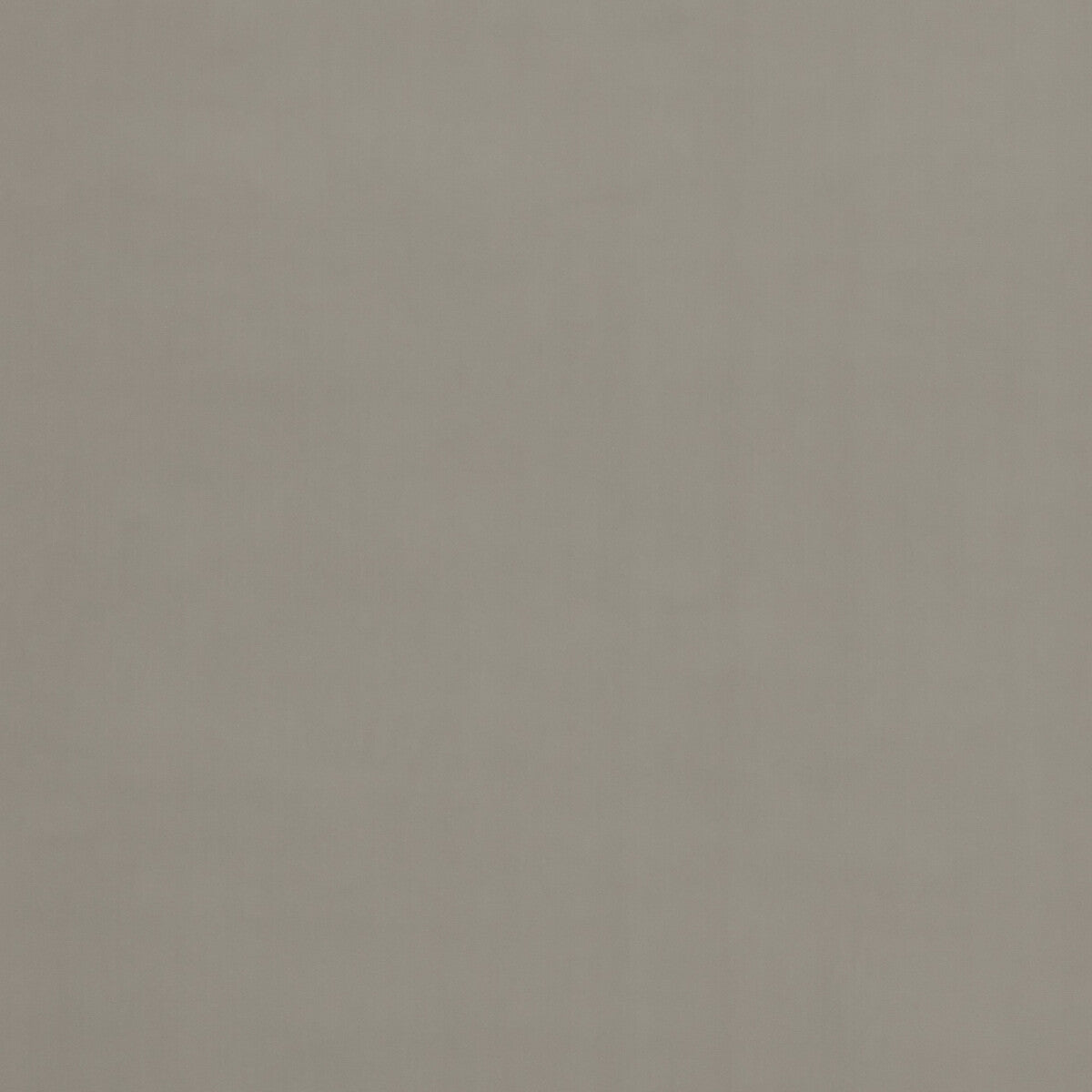 Baker House Velvet fabric in woodsmoke color - pattern BF10838.935.0 - by G P & J Baker in the Baker House Velvet collection