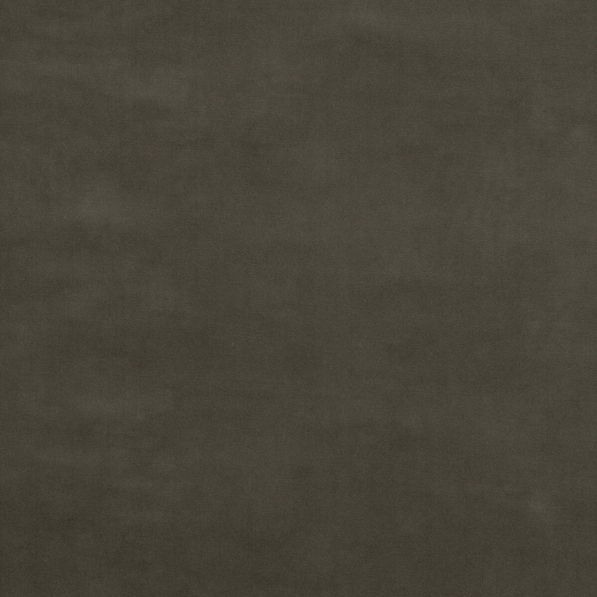 Baker House Velvet fabric in pigeon color - pattern BF10838.943.0 - by G P & J Baker in the Baker House Velvet collection