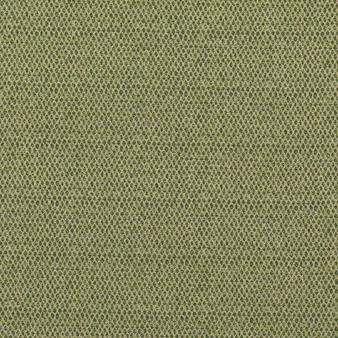 Pednor fabric in green color - pattern BF10874.735.0 - by G P &amp; J Baker in the Essential Colours II collection