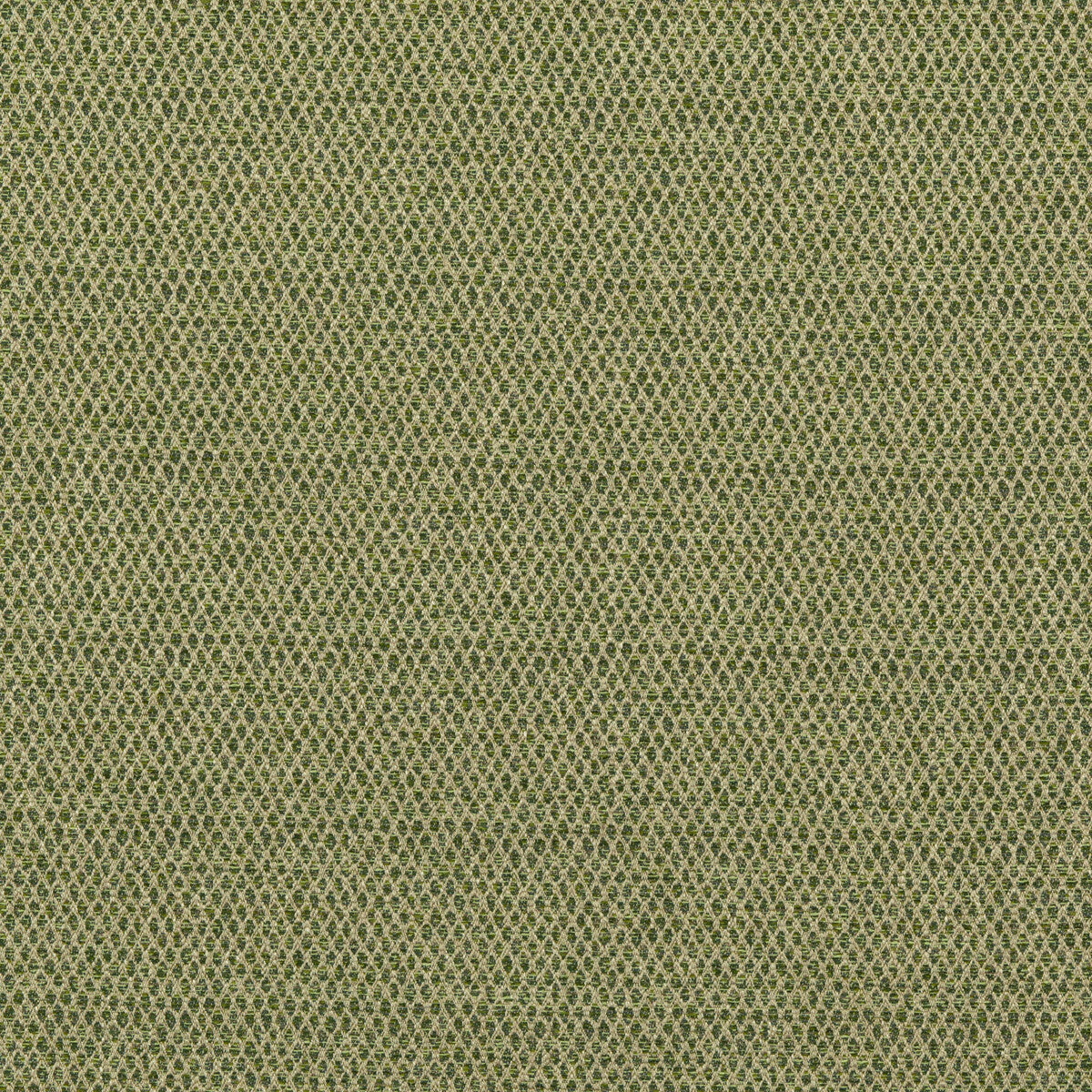 Pednor fabric in green color - pattern BF10874.735.0 - by G P & J Baker in the Essential Colours II collection