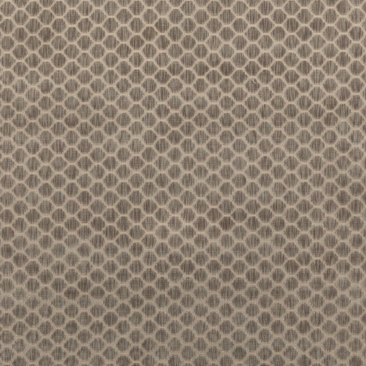 Swanbourne fabric in dove color - pattern BF10879.910.0 - by G P & J Baker in the Essential Colours II collection