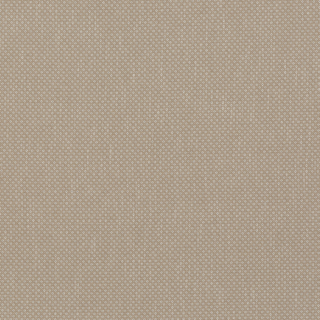 Morley fabric in sand color - pattern BF10959.130.0 - by G P &amp; J Baker in the Baker House Textures collection