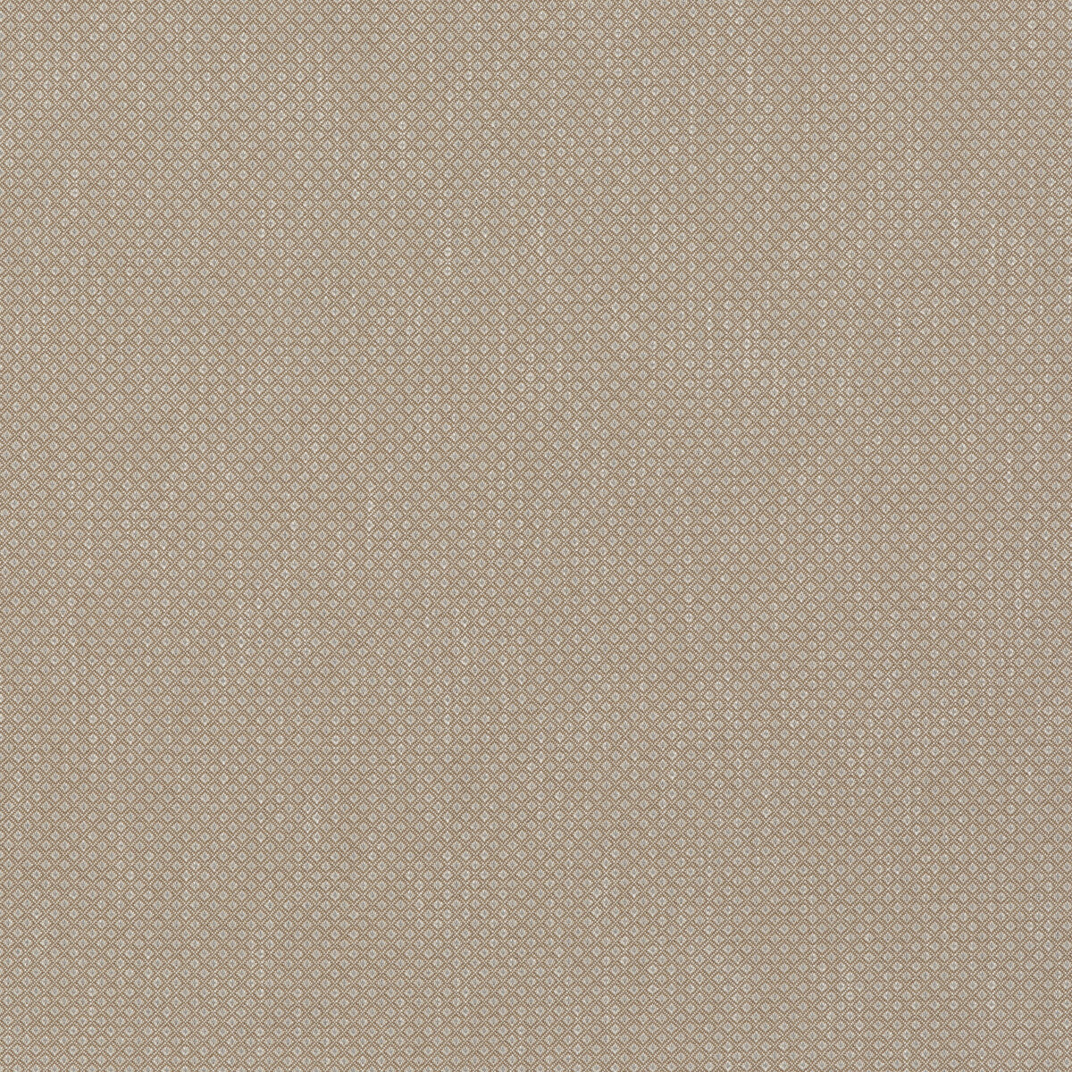 Morley fabric in sand color - pattern BF10959.130.0 - by G P & J Baker in the Baker House Textures collection
