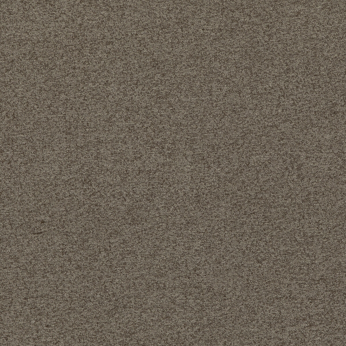 Baker House Boucle fabric in taupe color - pattern BF10965.210.0 - by G P &amp; J Baker in the Baker House Boucle collection