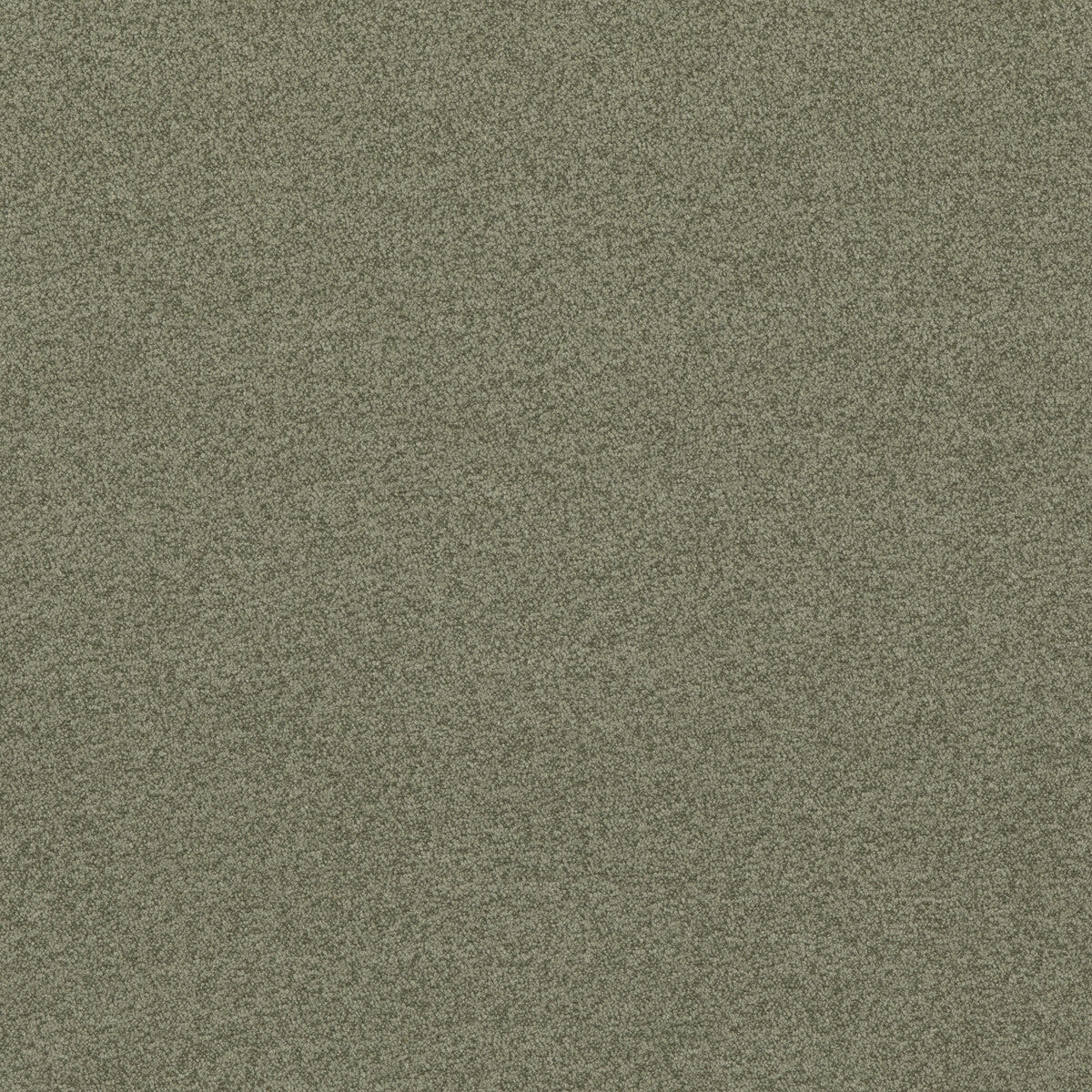 Baker House Boucle fabric in sage color - pattern BF10965.790.0 - by G P & J Baker in the Baker House Boucle collection