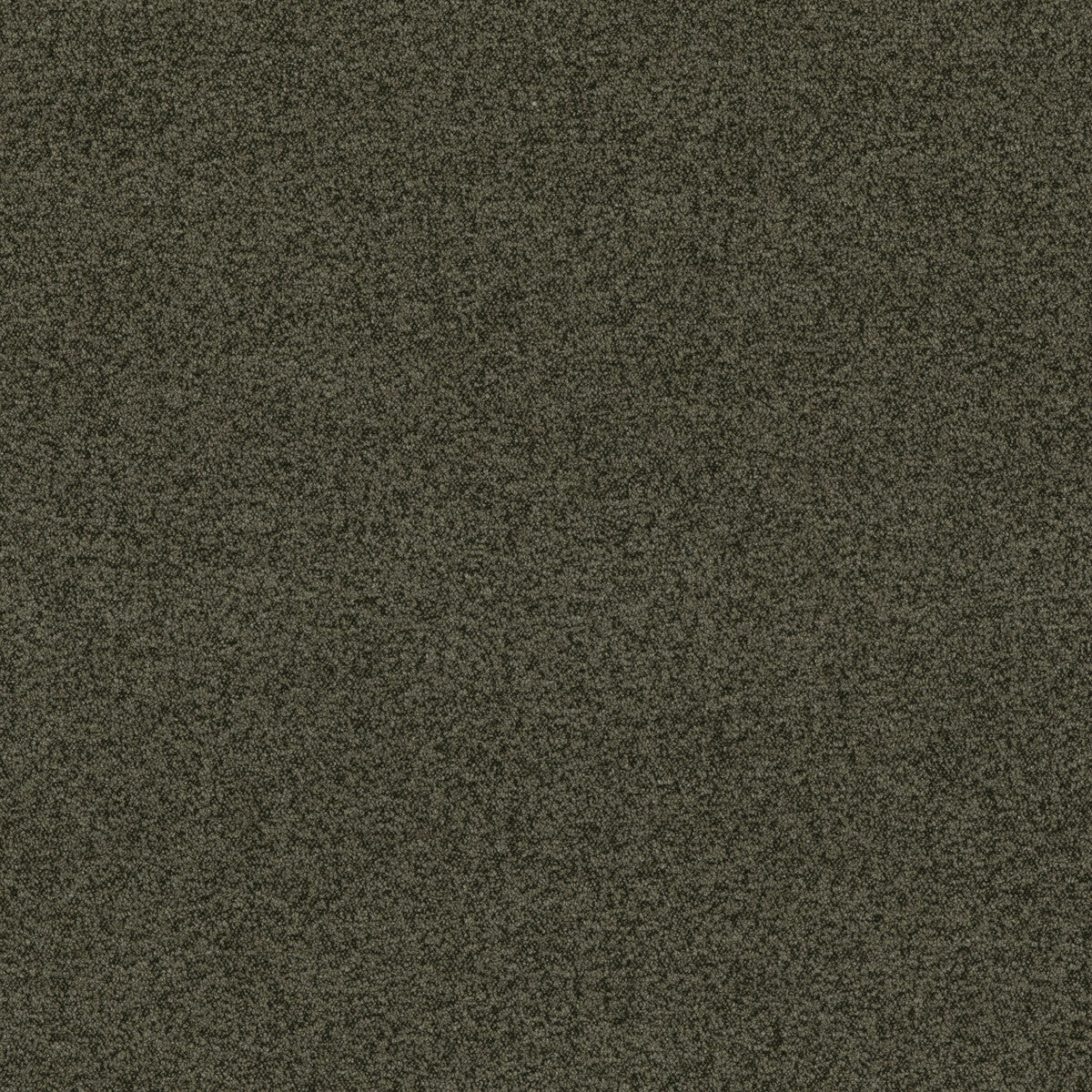 Baker House Boucle fabric in forest color - pattern BF10965.794.0 - by G P & J Baker in the Baker House Boucle collection