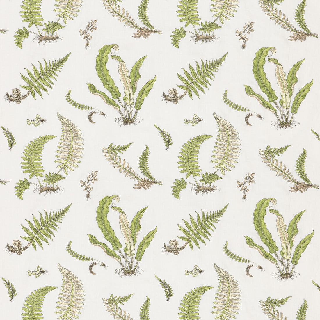 Ferns Embroidery fabric in green color - pattern BF10991.2.0 - by G P &amp; J Baker in the Burford collection