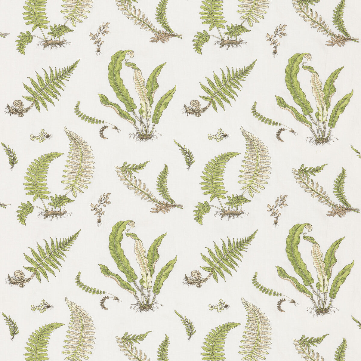 Ferns Embroidery fabric in green color - pattern BF10991.2.0 - by G P & J Baker in the Burford collection