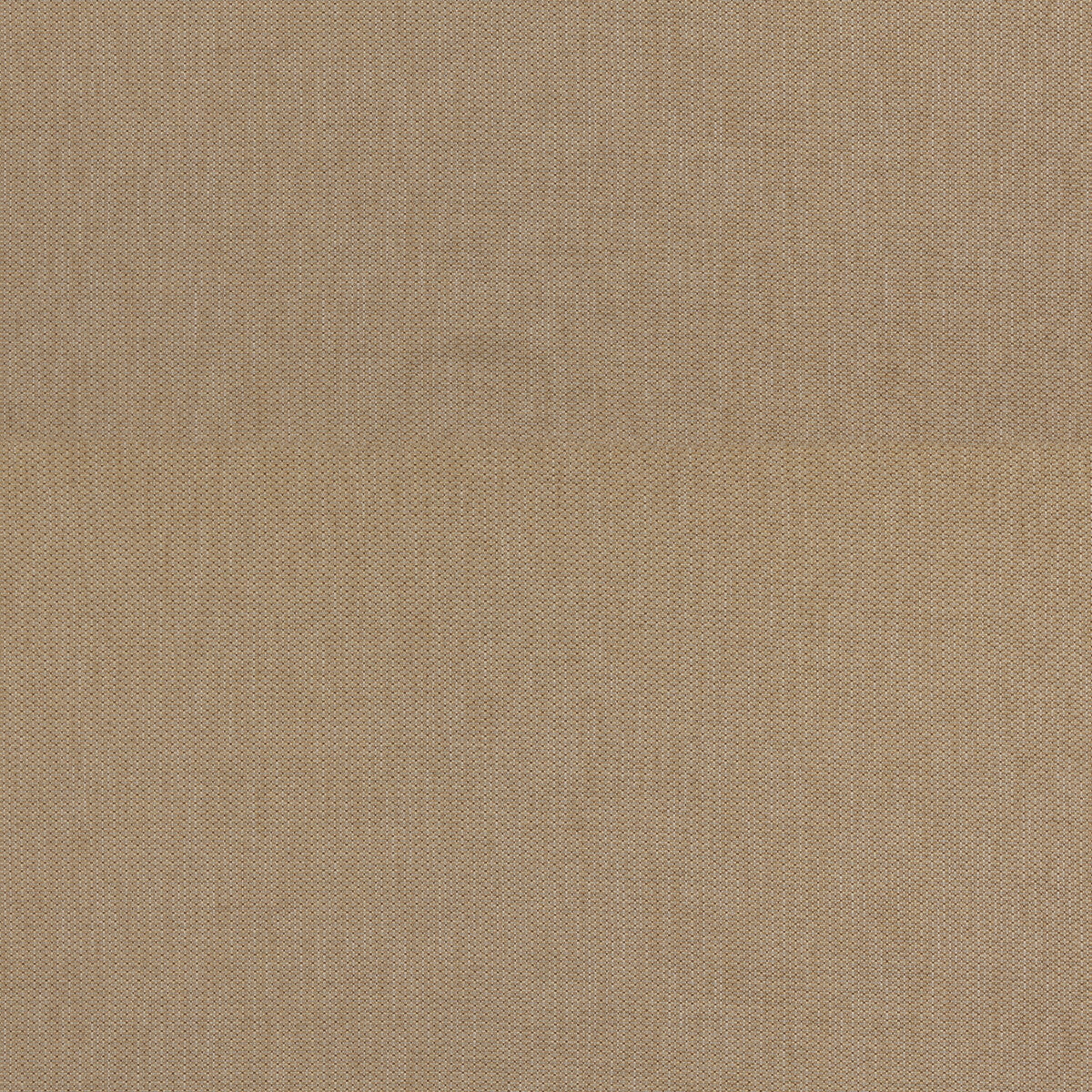 Burford Weave fabric in sand color - pattern BF11035.9.0 - by G P & J Baker in the Burford Weaves collection