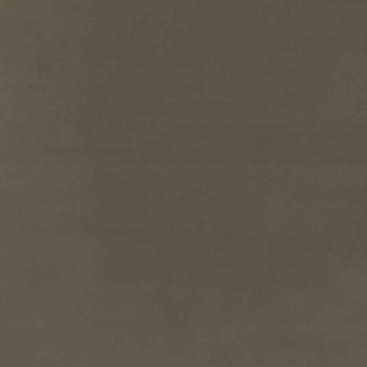 Baker House Fr Velvet fabric in mink color - pattern BF11040.285.0 - by G P & J Baker in the Baker House Fr Velvet collection