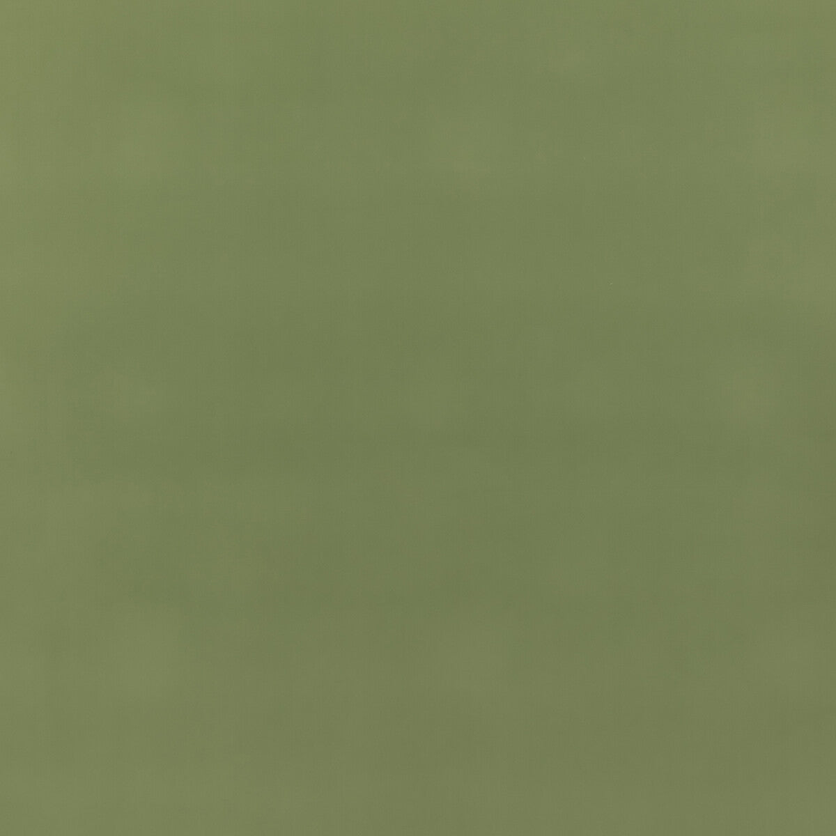 Baker House Fr Velvet fabric in grass color - pattern BF11040.735.0 - by G P & J Baker in the Baker House Fr Velvet collection