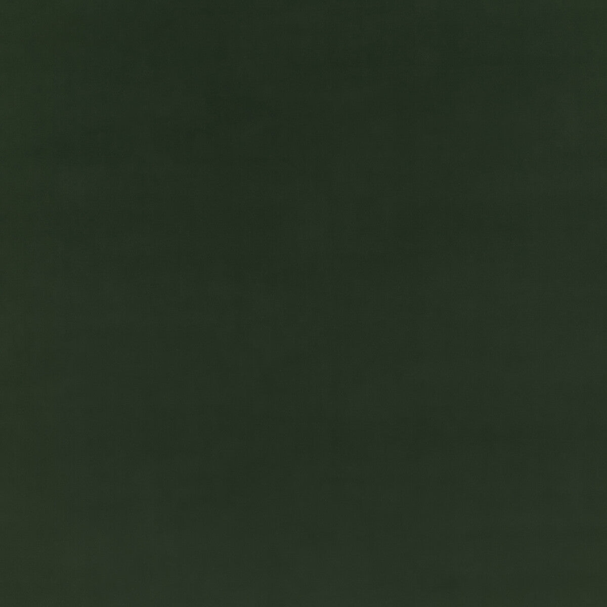 Baker House Fr Velvet fabric in forest color - pattern BF11040.794.0 - by G P & J Baker in the Baker House Fr Velvet collection